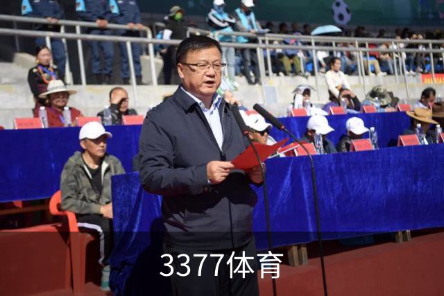 3377体育公司介绍
